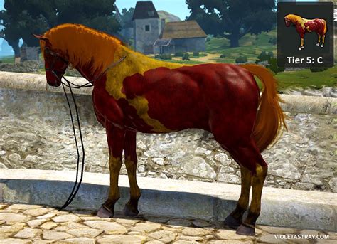 BDO Horse Catalog - See What Horses Really Look Like! – Violet Astray