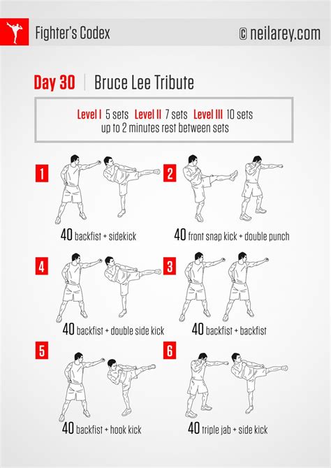 Day 30 - Page 31 | Bruce lee workout, Martial arts workout, Fighter workout