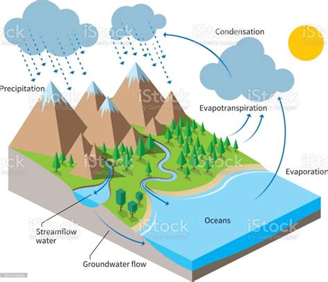 Isometric Water cycle diagram. | Water cycle diagram, Water cycle for kids, Water cycle