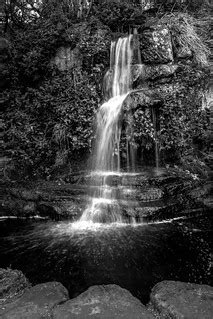 Ness Gardens Waterfall | It's been a long time since I've se… | Flickr