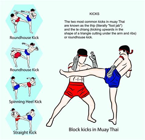 Muay Thai Techniques - All Muay Thai Moves at a Glance