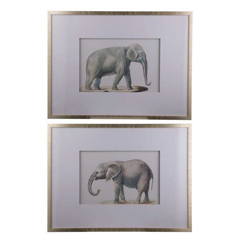 A & B Home Framed Elephant White, Gold Pencil Drawings Wall Art (Set of ...