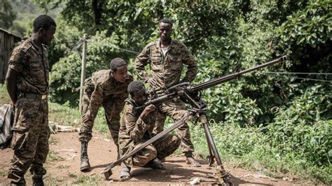 Ethiopia army starts ground offensive against Tigray forces in Amhara