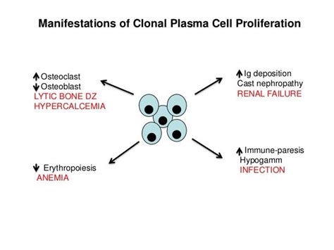 Plasma Cell Disorders