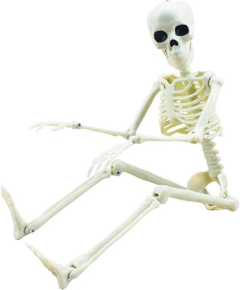 Amazon.com: XONOR 16” Posable Halloween Skeleton- Full Body Halloween ...