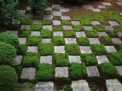 Using Moss as a Design Element | Garden Design