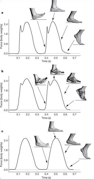 An Evaluation of Basic Running Techniques: A Guide for Health Practitioners and the Novice ...