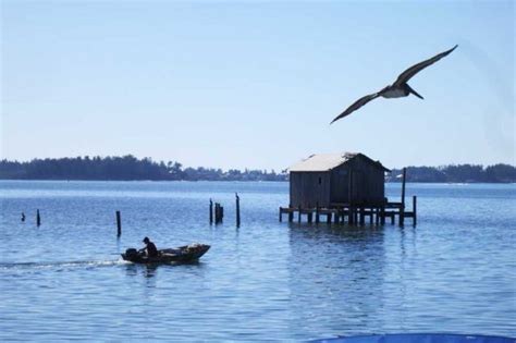 Cortez: Charming fishing village, perfect place for classic seafood shack | Cortez florida ...