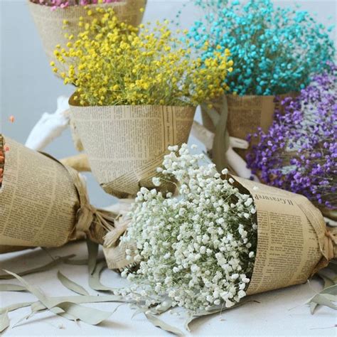 NEW Natural Dried Gypsophila Flower Babys Breath Home Decor Dried ...