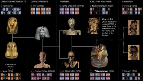 King Tutankhamun Family Tree | Video Bokep Ngentot