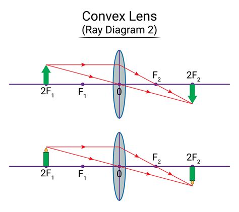 Convex Lens Ray Diagram 2 27937196 Vector Art at Vecteezy