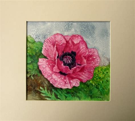 Watercolour painting Oriental Poppy