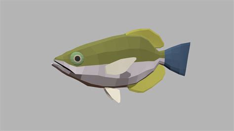 Archerfish - 3D model by josluat91 [60ce615] - Sketchfab