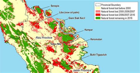 Palm Oil Deforestation Map