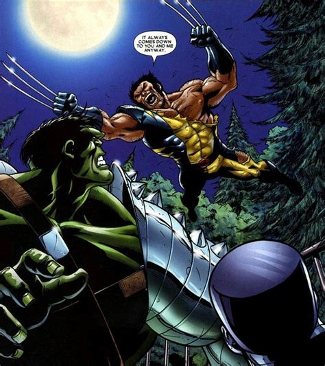 Hulk vs. Wolverine: Who Wins the Fight & How?