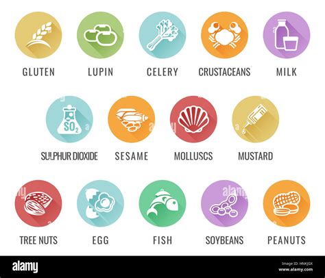 Food allergy icons including the 14 allergies outlined by the EU Food Information for Consumers ...