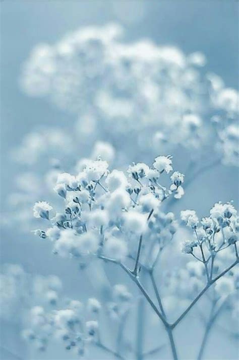 Light Blue Aesthetic Wallpaper / Aesthetic Blue Wallpapers - Top Free Aesthetic Blue ... : See ...