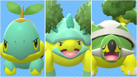 FULL TURTWIG EVOLUTION TEAM! Shiny Turtwig, Shiny Grotle, Shiny Torterra - YouTube