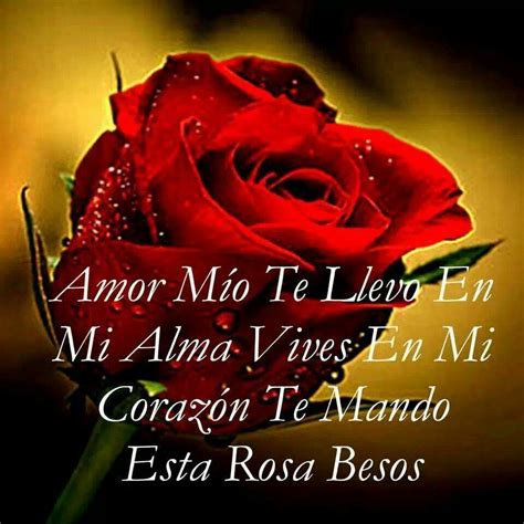 mensajes bonitos: Imagen de una Rosa con mensaje de amor