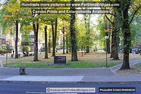 Portland State University - Park Blocks Photo D300CRW09838