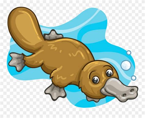 platypus clip art 10 free Cliparts | Download images on Clipground 2024