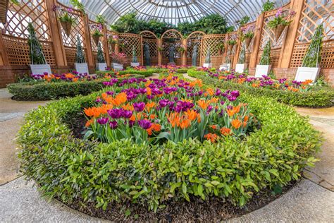 Spring Flower Show: Gardens of the Rainbow | Phipps Conservatory and Botanical Gardens ...