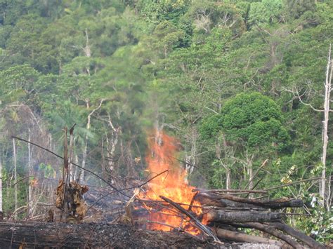 Pencemaran Bunyi Di Malaysia : Pencemaran bunyi (atau bunyi persekitaran) merupakan hasil ...