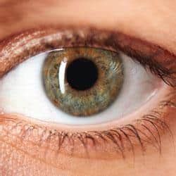 Are People With Light Blue, Green Eyes More Likely to Develop Cataracts? — Barnet Dulaney ...