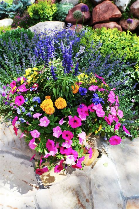 Annual Flowers in Pots | Annual Flower Pots | cathymarkle | Gardening | Pinterest | Flower ...