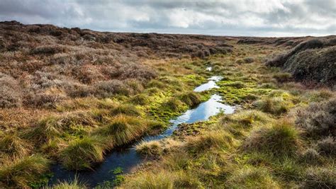 Restoring moorlands and peat bogs — MANCHESTER CLIMATE READY