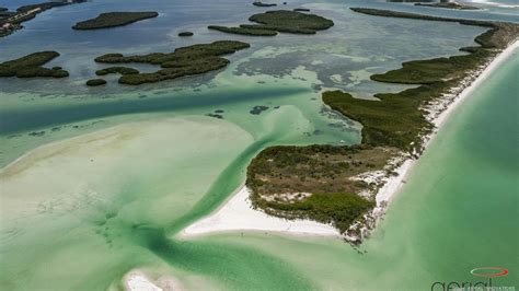 Shell Key kayak tour ranks as the No. 1 experience in the US - Tampa ...