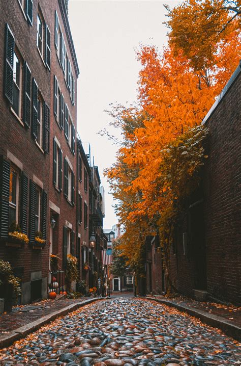 Do These 8 Things in Boston in Fall – Devour Tours