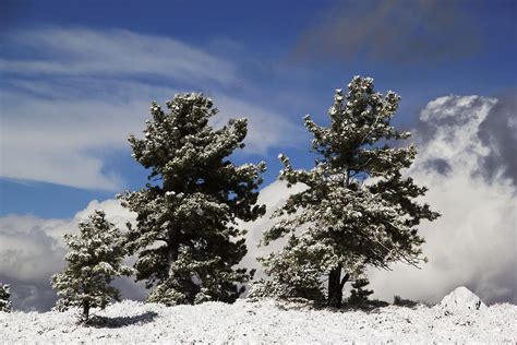 Rocky Mountain Fall Photograph by Mark Smith - Fine Art America