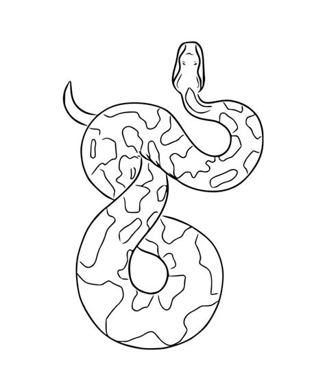 Linear hand-drawn snake icon. Vector python, curled up in a crouch. Black and white illustration ...