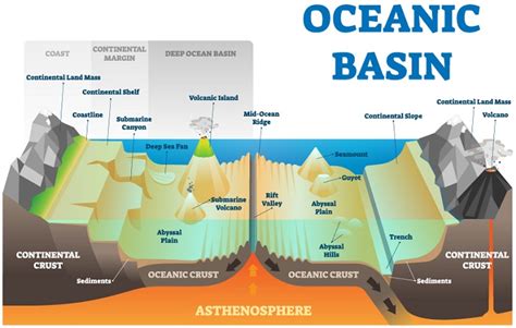 The Ocean Floor Educational Resources K12 Learning, Earth Science ...