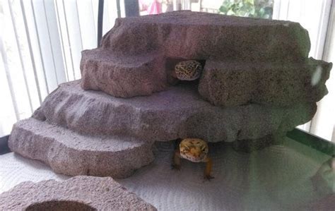 10 gallon - corner reptile basking hide - leopard gecko - bearded dragon - vivarium | Leopard ...