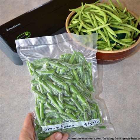 Freezing Green Beans With or Without Blanching, Step by Step | Green beans, Fresh green beans ...