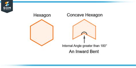 Concave | Definition & Meaning