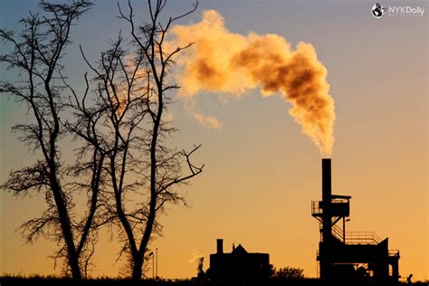 What are the effects of Air Pollution? - NYK Daily