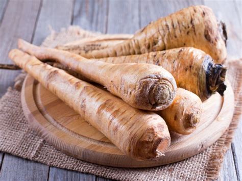 Harvesting Parsnip Root: When Are Parsnips Ready To Pick