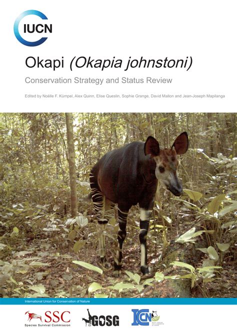 (PDF) Okapi (Okapia johnstoni) Conservation Strategy and Status Review