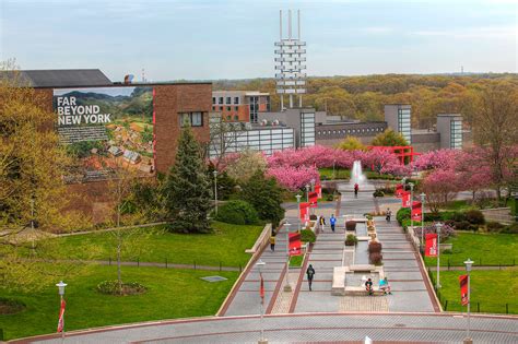 Stony Brook University (SUNY) | Study New York