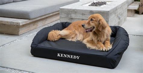 Orthopedic Dog Beds | Water-Resistant | K9 Ballistics®