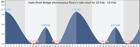 Halls River Bridge (Homosassa River)'s Tide Charts, Tides for Fishing, High Tide and Low Tide ...