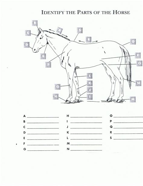 6 Farm Animals Food Activity 0d3a8c716ed6bef352f919d67dd8131e | Kids worksheets printables ...