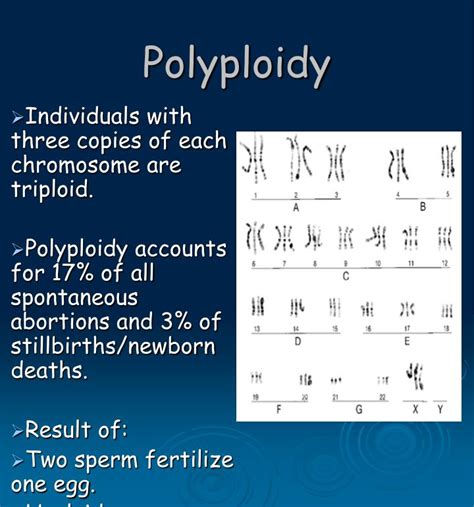 PPT - Chromosomes PowerPoint Presentation - ID:838339