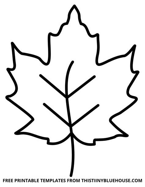 Free Leaf Template Printable (6 sizes of Leaf Outlines Small, Medium ...