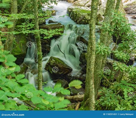 Cascading Waterfalls on Mountain Stream Stock Image - Image of ...