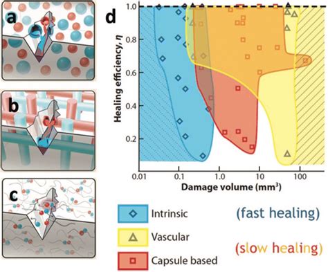 Demonstration of self-healing materials with a capsule-based, b... | Download Scientific Diagram