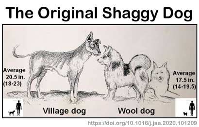 A True Shaggy Dog Story – Watts Up With That?